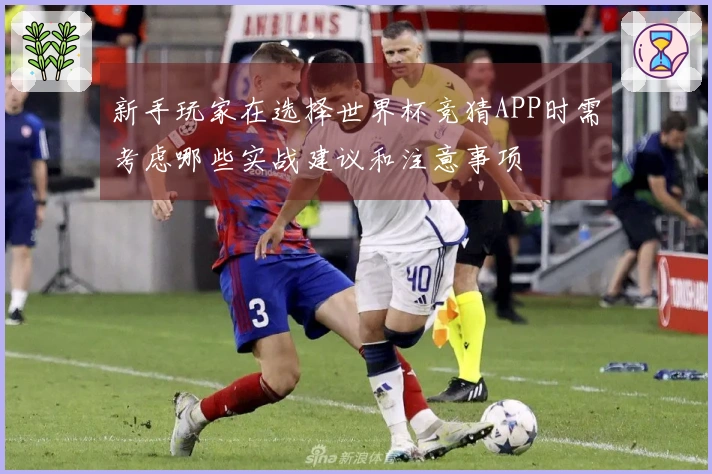 新手玩家在选择世界杯竞猜APP时需考虑哪些实战建议和注意事项