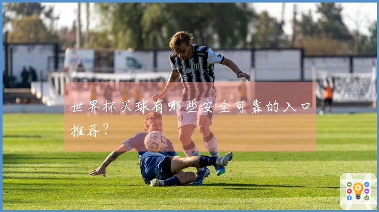 世界杯买球有哪些安全可靠的入口推荐？