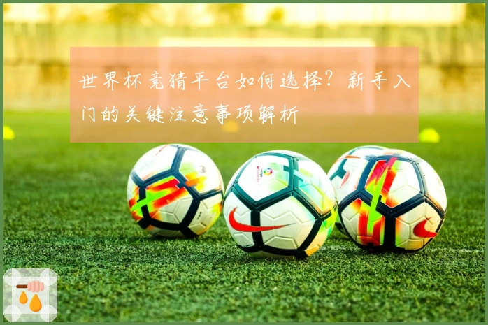 世界杯竞猜平台如何选择？新手入门的关键注意事项解析