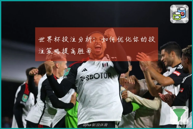 世界杯投注分析：如何优化你的投注策略提高胜率