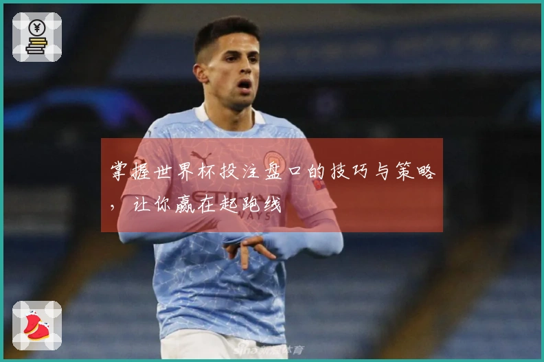 掌握世界杯投注盘口的技巧与策略，让你赢在起跑线