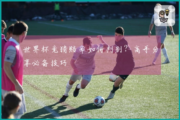 世界杯竞猜赔率如何判别？高手分享必备技巧