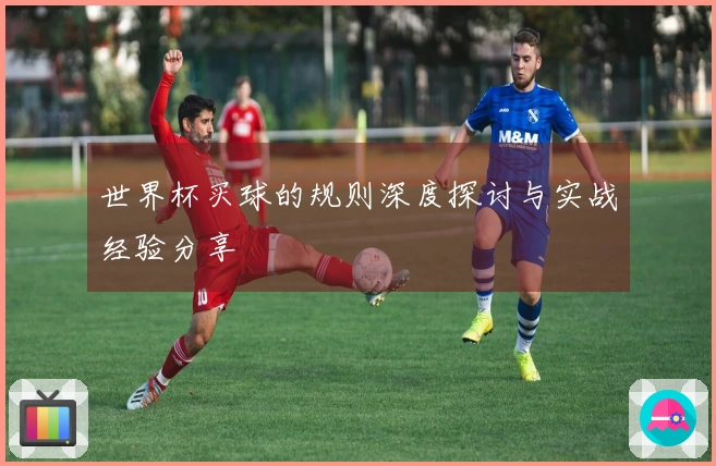 世界杯买球的规则深度探讨与实战经验分享