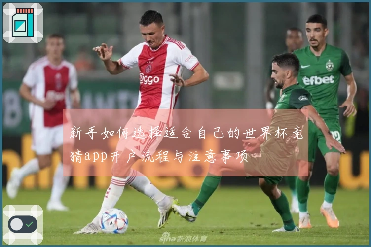 新手如何选择适合自己的世界杯竞猜app开户流程与注意事项