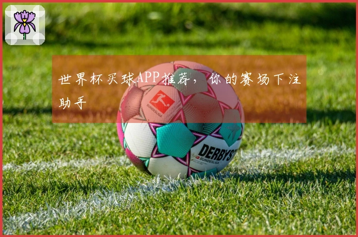 世界杯买球APP推荐，你的赛场下注助手