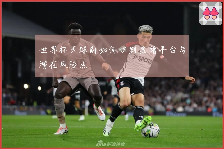 世界杯买球前如何识别靠谱平台与潜在风险点