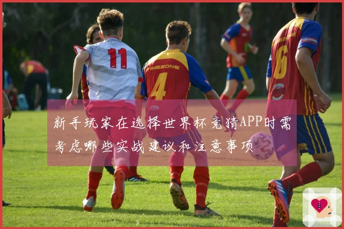 新手玩家在选择世界杯竞猜APP时需考虑哪些实战建议和注意事项