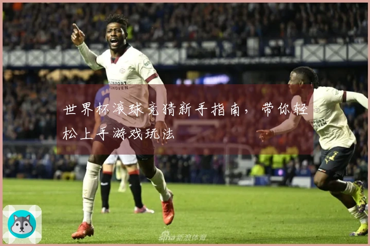 世界杯滚球竞猜新手指南，带你轻松上手游戏玩法