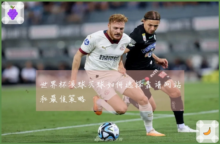 世界杯滚球买球如何选择靠谱网站和最佳策略