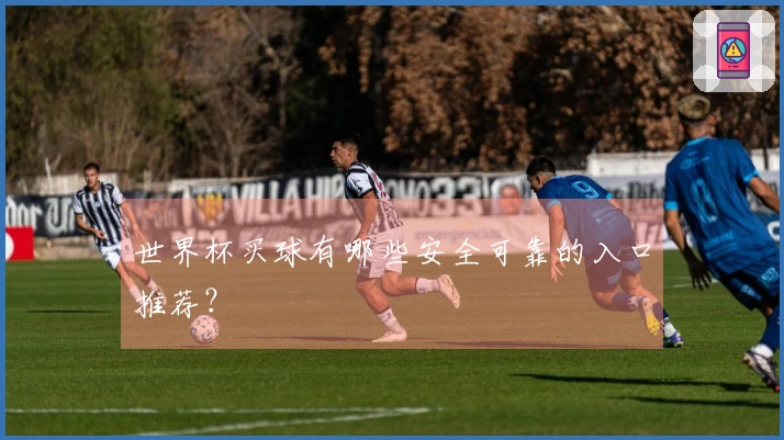 世界杯买球有哪些安全可靠的入口推荐？