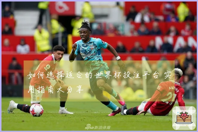 如何选择适合的世界杯投注平台 实用指南大分享
