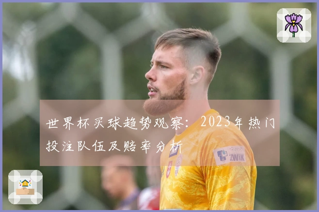世界杯买球趋势观察：2023年热门投注队伍及赔率分析