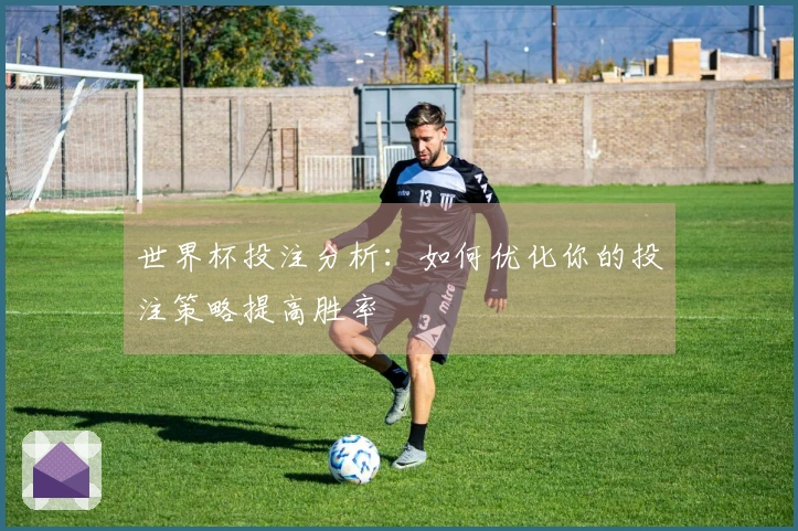 世界杯投注分析：如何优化你的投注策略提高胜率
