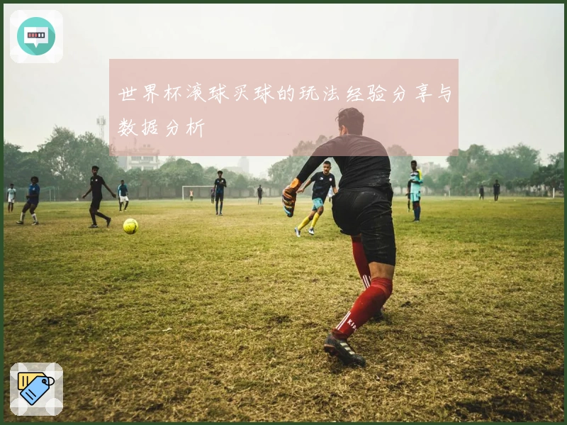 世界杯滚球买球的玩法经验分享与数据分析