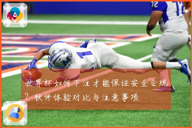 世界杯如何下注才能保证安全合规？软件体验对比与注意事项