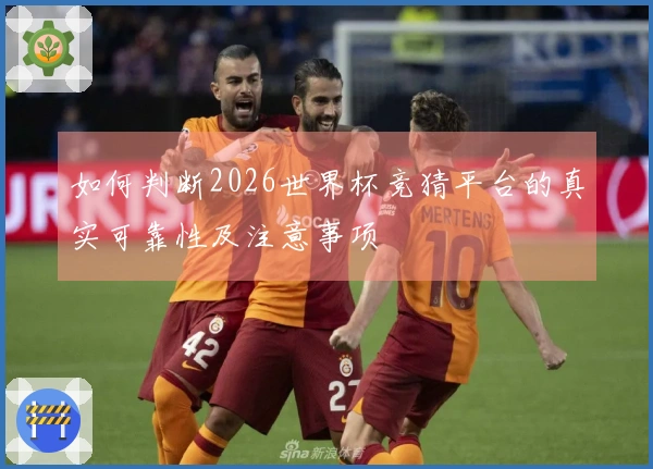 如何判断2026世界杯竞猜平台的真实可靠性及注意事项