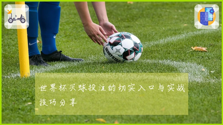 世界杯买球投注的切实入口与实战技巧分享