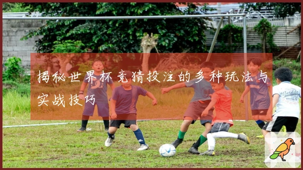 揭秘世界杯竞猜投注的多种玩法与实战技巧